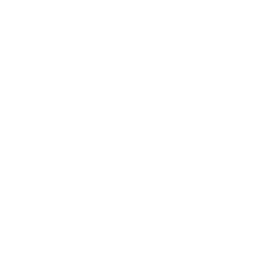 Booking Icon